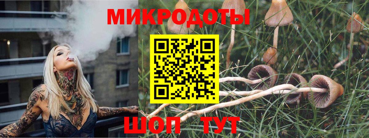 Урус-Мартан  Псилоцибиновые грибы Psilocybine cubensis  Вход с VPN 